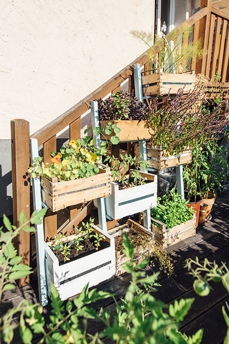 Pensare all'altezza: con il "Giardino verticale" si sfrutta al meglio lo spazio di una piccola terrazza