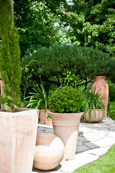 Le piante in vasi di terracotta creano un'atmosfera mediterranea in terrazza

